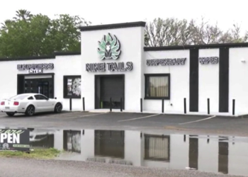 Arrestan a Adolescente por Robo en Tienda para Fumadores en Edinburg